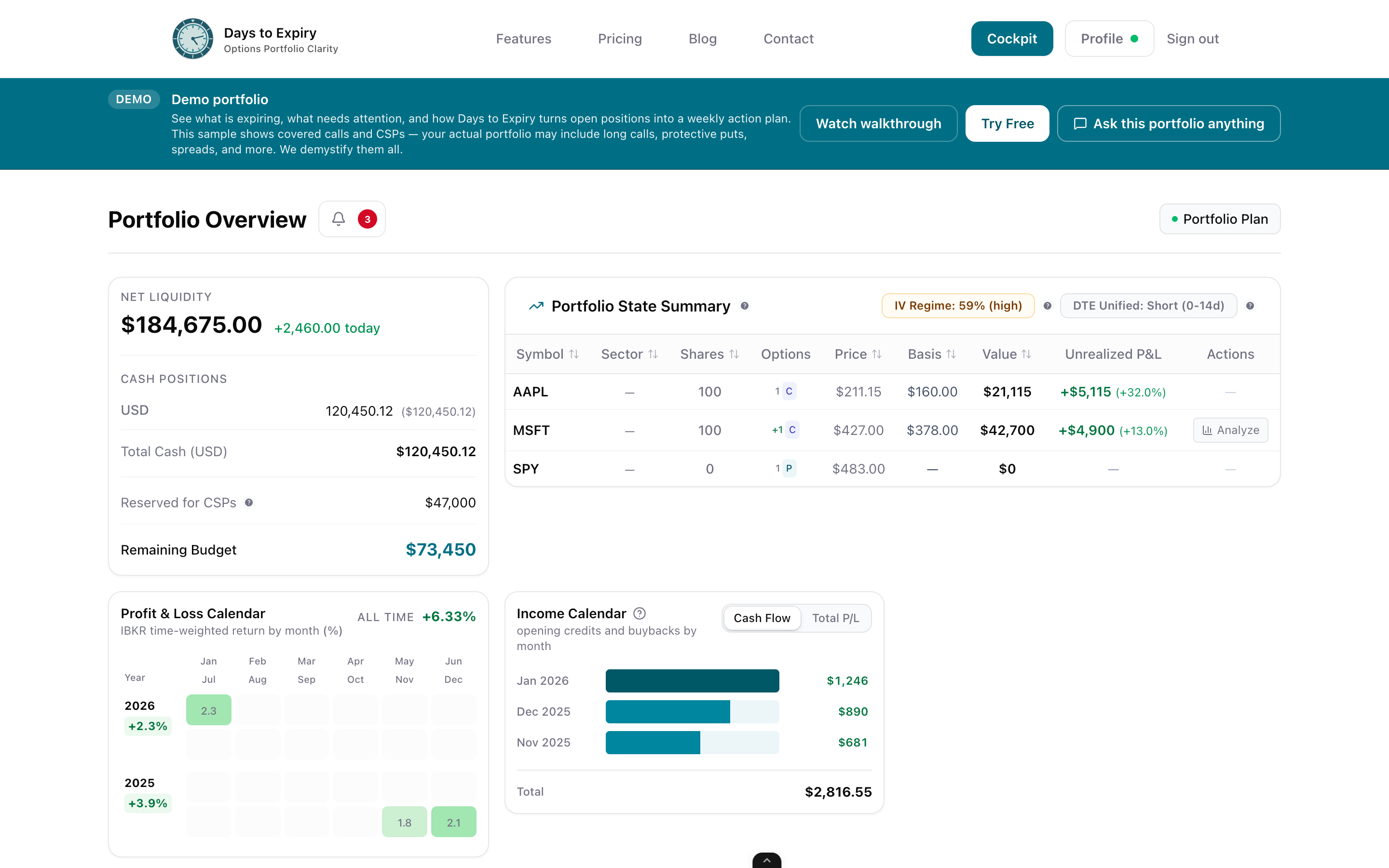 The Days to Expiry portfolio dashboard — clean, organized income view